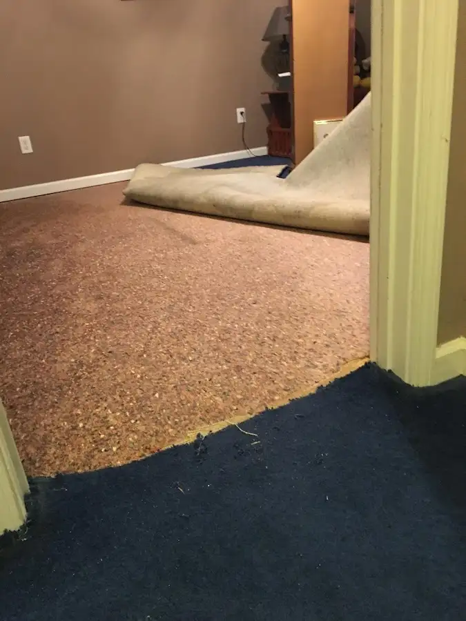 Carpet pad removal revealing water damage during Water Mitigation Services in Merriam